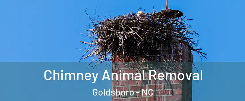 Chimney Animal Removal Goldsboro - NC