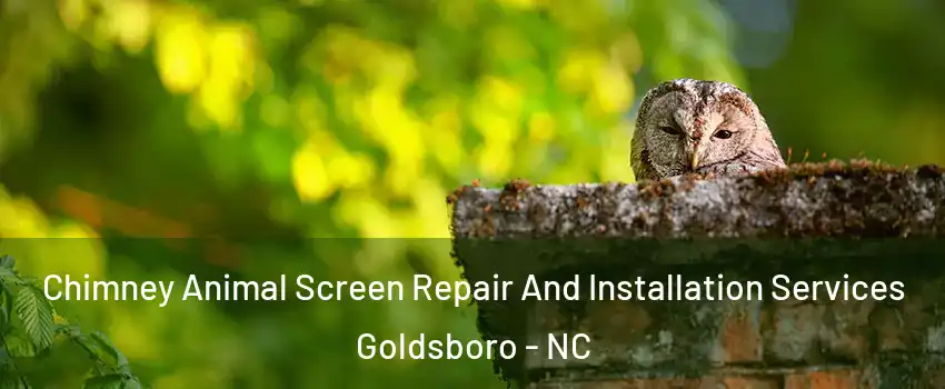  Chimney Animal Screen Repair And Installation Services Goldsboro - NC
