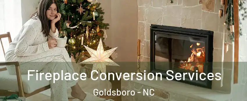  Fireplace Conversion Services Goldsboro - NC