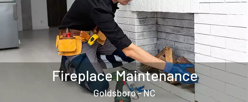  Fireplace Maintenance Goldsboro - NC
