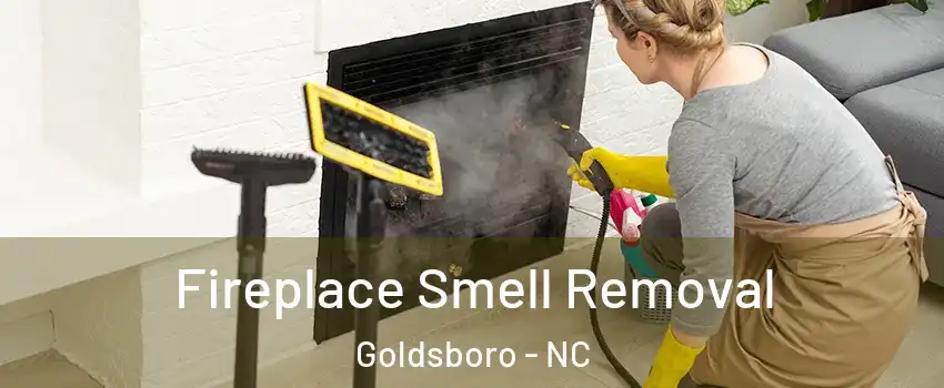  Fireplace Smell Removal Goldsboro - NC