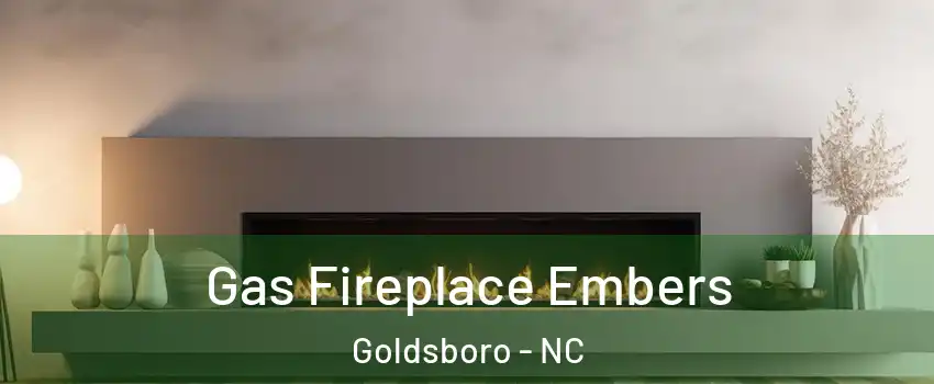  Gas Fireplace Embers Goldsboro - NC