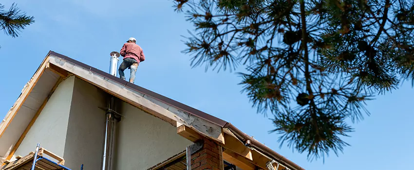 Birds Removal Contractors from Chimney in Goldsboro, NC