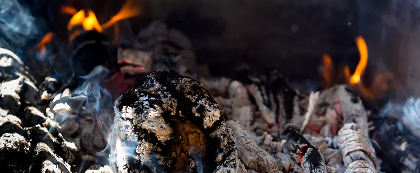 Creosote Removal Experts in Goldsboro, NC