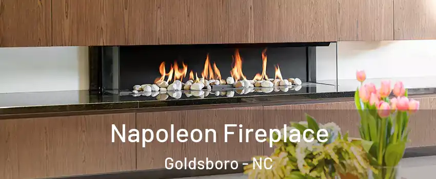  Napoleon Fireplace Goldsboro - NC