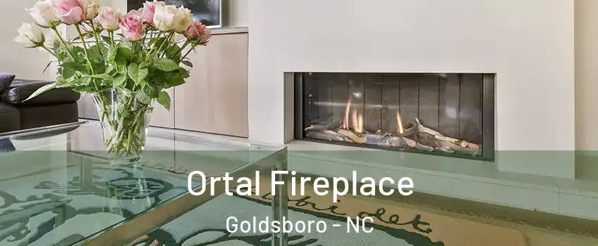 Ortal Fireplace Goldsboro - NC